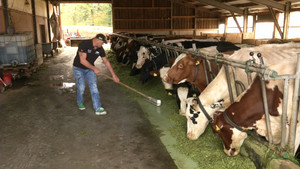 So regeneriert sich Schwinger Stefan Burkhalter 